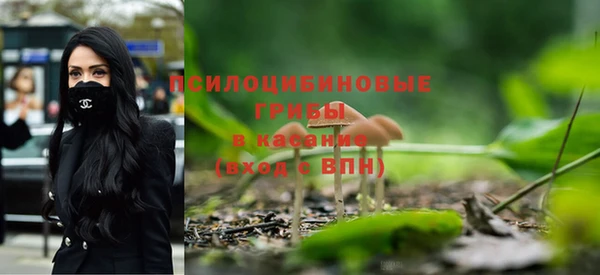 соль ск Новокубанск