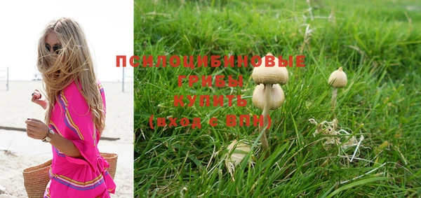не бодяженный Абдулино